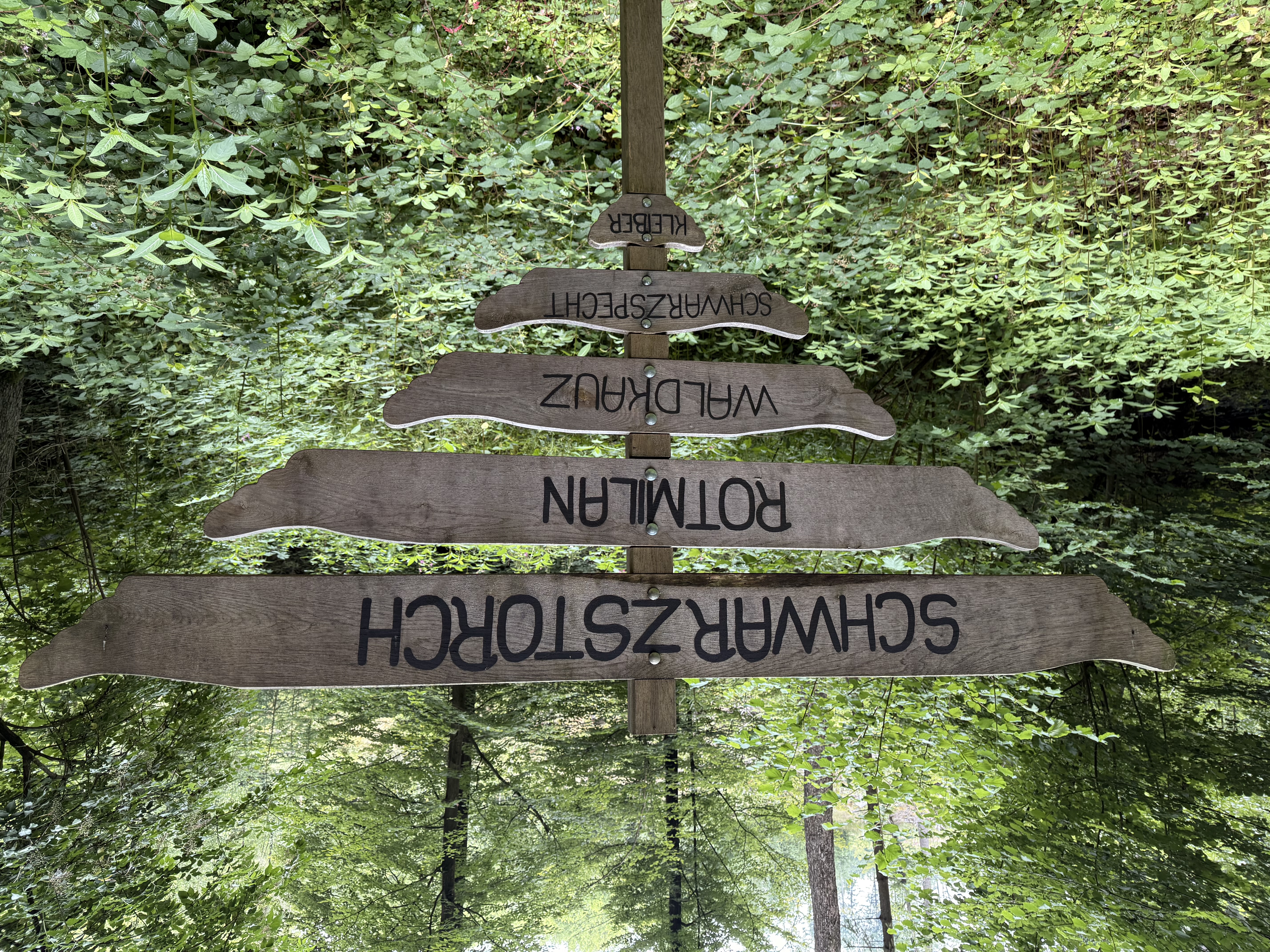 Spannweitenvergleich